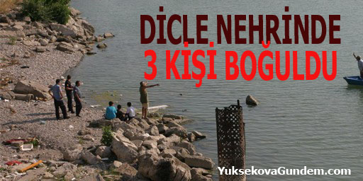 DİCLE 3 CAN DAHA ALDI