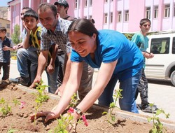 Hakkaride yeşillendirme çalışması