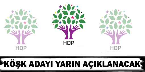 HDP Köşk adayını yarın açıklayacak