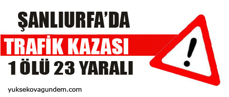 Yolcu minibüsü devrildi