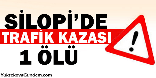 Silopi'de Trafik Kazası