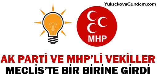AK Parti ve MHP'li vekiller birbirine girdi
