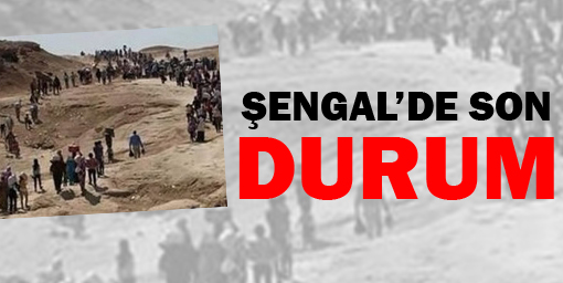 Şengal'de son durum
