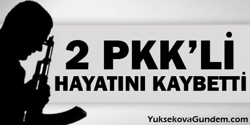 2 HPG'li kaza sonucu yaşamını yitirdi