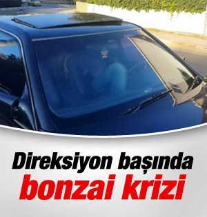 Direksiyon başında bonzai krizine