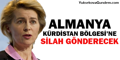 Almanya Kürdistan Bölgesine silah gönderecek