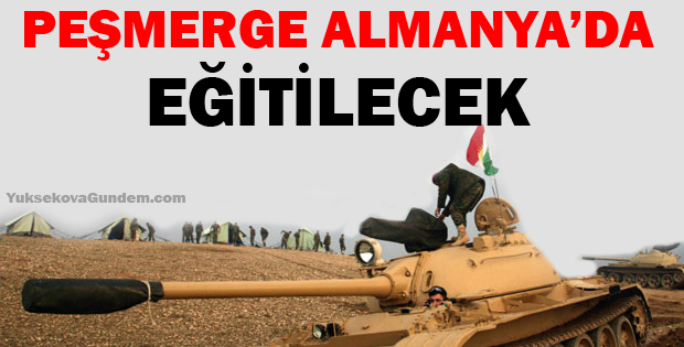 Peşmerge Almanya'da eğitilecek