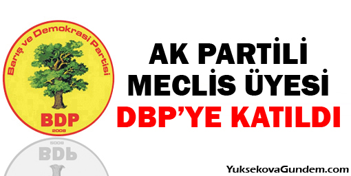 Ak Partili Meclis Üyesi DBPye katıldı