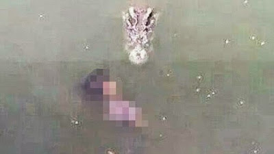 65 yaşındaki kadın kendini timsahlara attı!