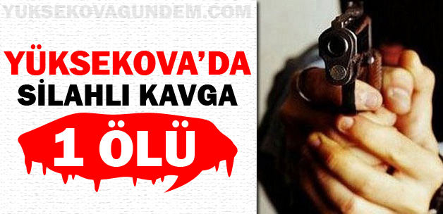 Yüksekova'da silahlı saldırı: 1 ölü