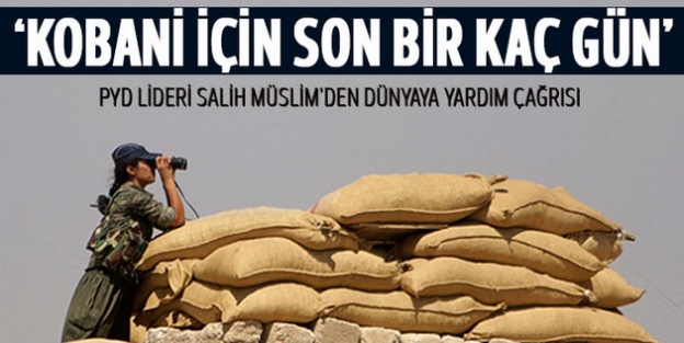 Salih Müslim: Kobani'deki durum birkaç gün içinde çözülür