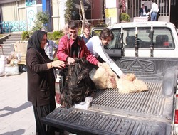 Kurban derileri Kobani'ye