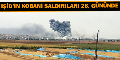 IŞİDin Kobani saldırıları 28. gününde