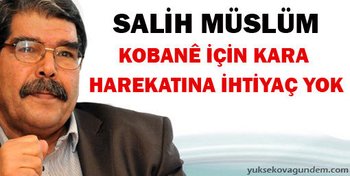 Salih Müslim: Kobani için kara harekatına ihtiyaç yok