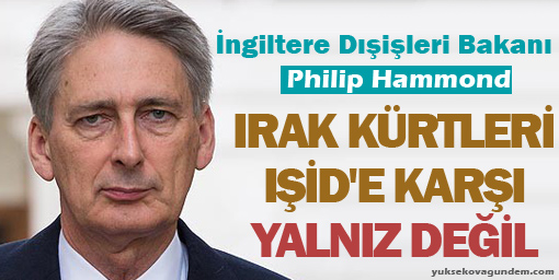 'Irak Kürtleri IŞİD'e karşı yalnız değil'