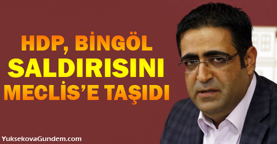 HDP, Bingöl saldırısını Meclise taşıdı
