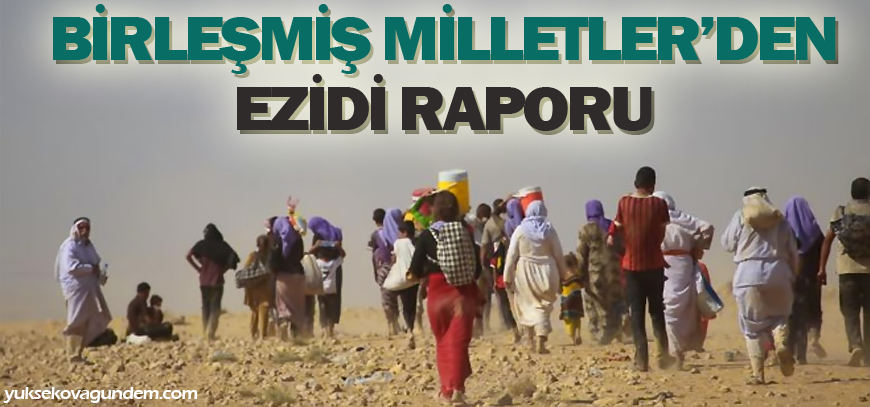 BMden Ezidi raporu