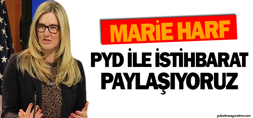 ABD: PYD ile istihbarat paylaşıyoruz