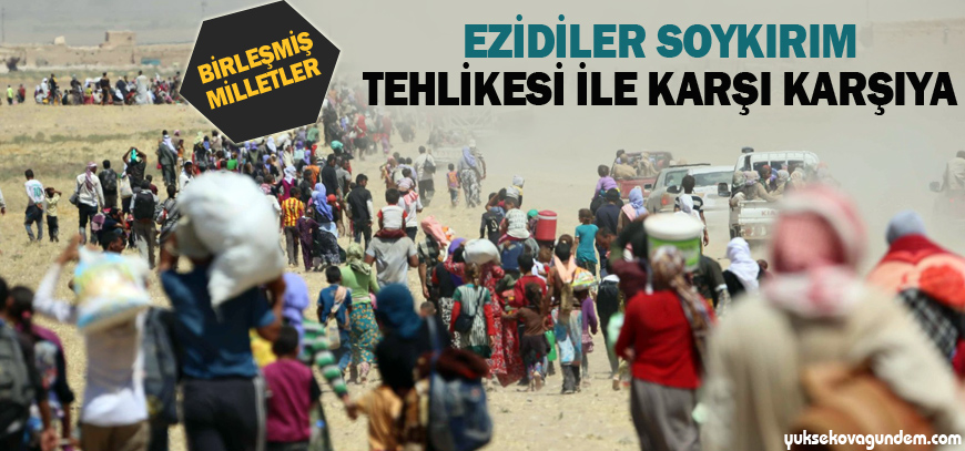 BM: Ezidiler soykırım tehlikesi ile karşı karşıya