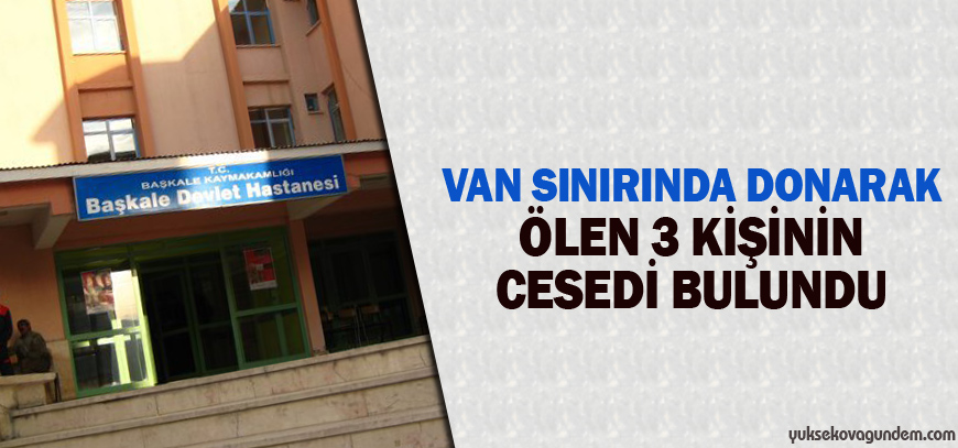 Van sınırında donarak ölen 3 kişinin cesedi bulundu
