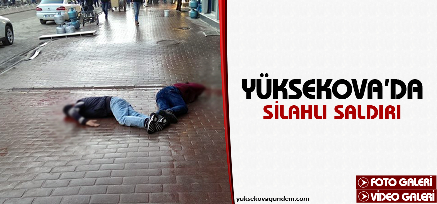 Yüksekova'da silahlı saldırı
