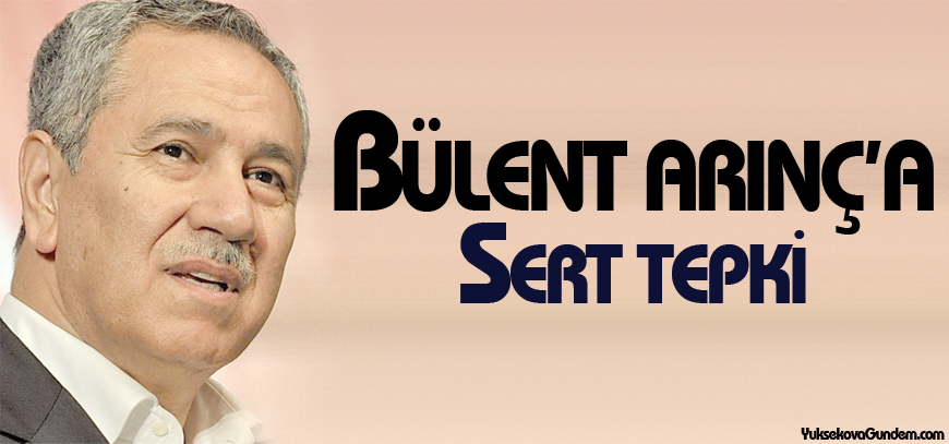Arınç'a HDP ve CHP'den tepki