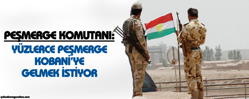 Peşmerge Komutanı: Yüzlerce Peşmerge Kobaniye gelmek istiyor