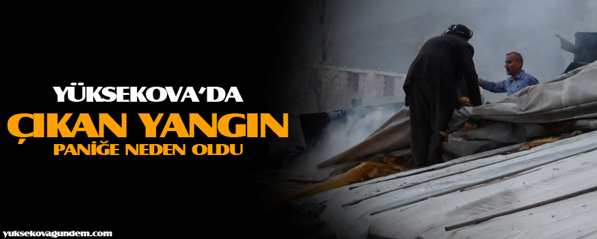 Yüksekova'da Yangın