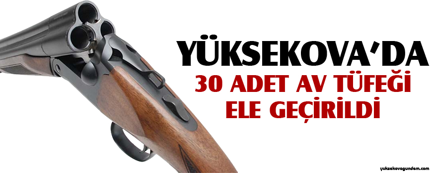Yüksekova'da 30 adet Av tüfeği ele geçirildi