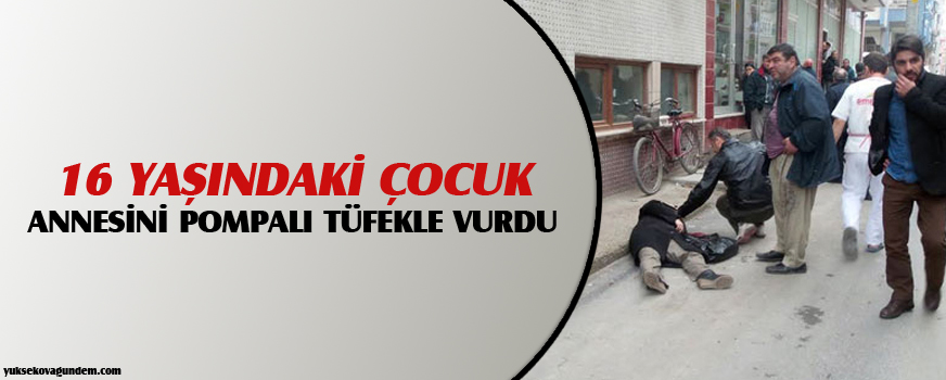 16 yaşındaki çocuk, annesini pompalı tüfekle vurdu