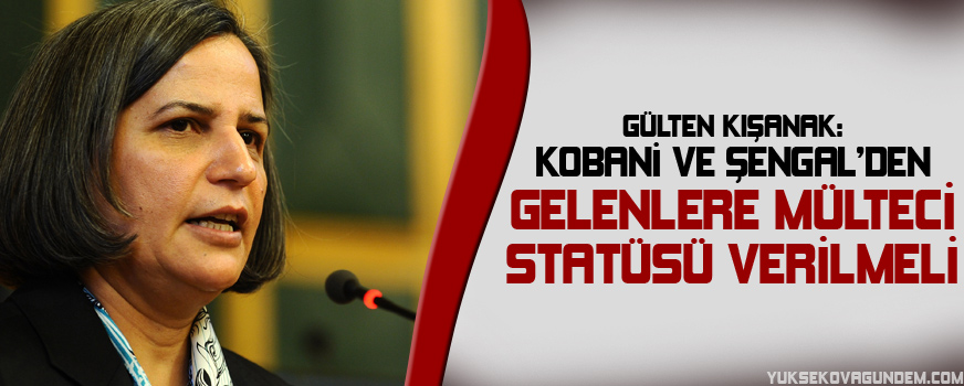 Kışanak: Kobani ve Şengalden gelenlere mülteci statüsü verilmeli