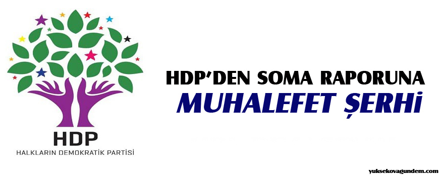 HDPden Soma raporuna muhalefet şerhi