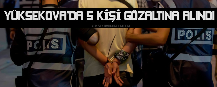 Yüksekova'da 5 kişi gözaltına alındı