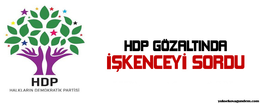 HDP gözaltında işkenceyi sordu