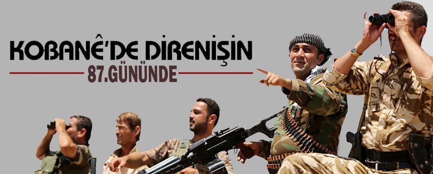 Kobani direnişi 87. gününde