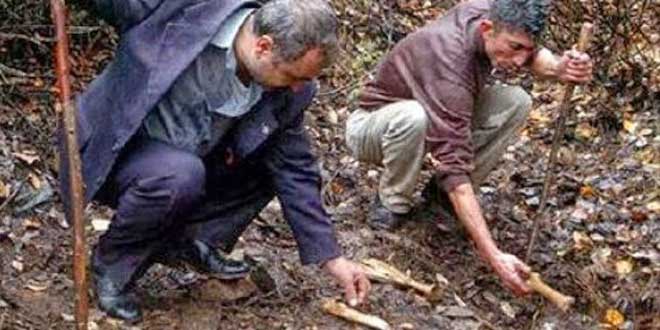 Kulp davası 3 Şubata ertelendi