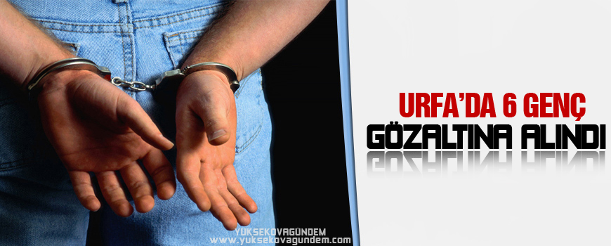 Birecikte 6 genç gözaltına alındı