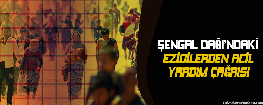 Şengal Dağındaki Êzîdîlerden acil yardım çağrısı
