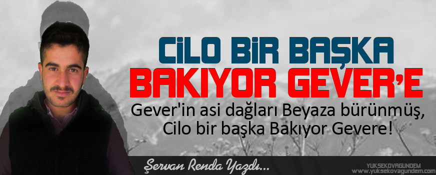 Cilo Bir Başka Bakıyor Gever'e