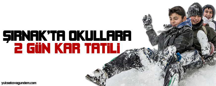 Şırnak'ta okullara 2 gün kar tatili
