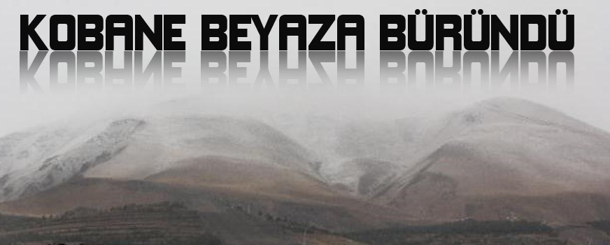 Kobanê beyaza büründü