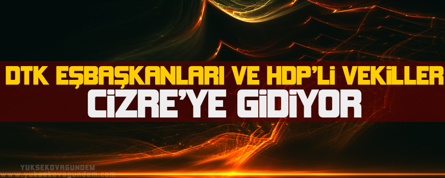 DTK Eşbaşkanları ve HDP'li vekiller Cizre'ye gidiyor