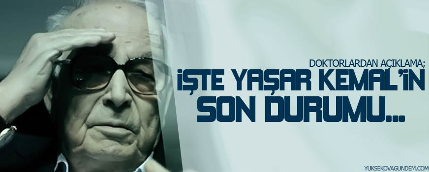 Yaşar Kemal'in son sağlık durumu, doktoru açıkladı