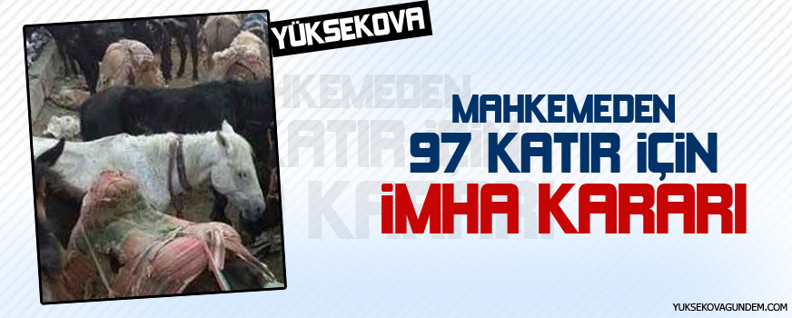 Mahkemeden 97 katır için imha kararı