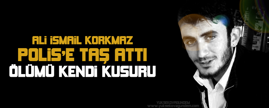 'Ali İsmail Korkmaz polise taş attı, ölümü kendi kusuru'
