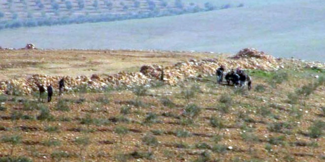 IŞİD üyeleri Suruçta ateş açtı: 1 yaralı