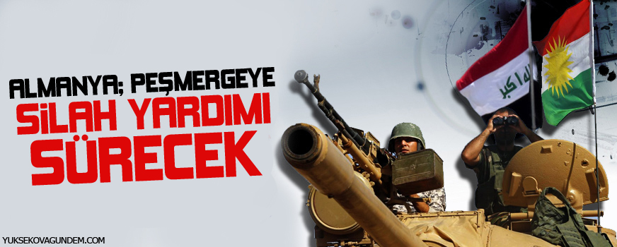 Almanya: Peşmergeye silah yardımı sürecek