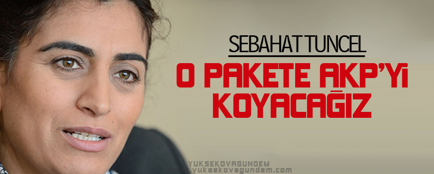 Tuncel: O pakete AKP'yi koyacağız