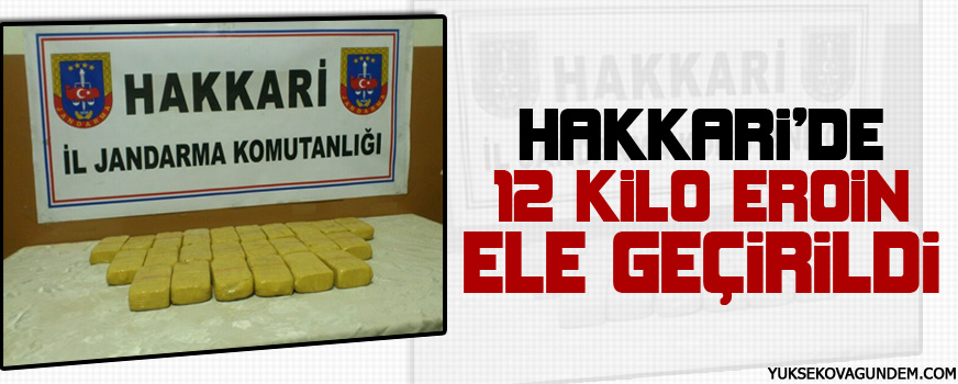 Hakkari'de 12 Kilo Eroin Elegeçirdi