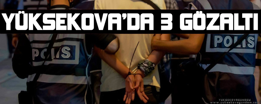 Yüksekova'da da 3 gözaltı